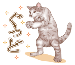 Strange pose cat 5 sticker #8460542