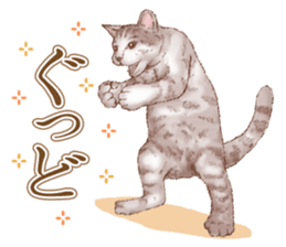Strange pose cat 5 sticker #8460542