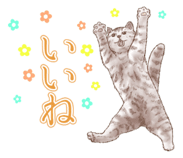 Strange pose cat 5 sticker #8460543