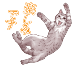 Strange pose cat 5 sticker #8460545