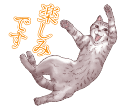 Strange pose cat 5 sticker #8460545