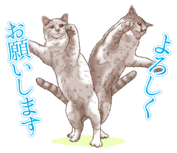 Strange pose cat 5 sticker #8460547