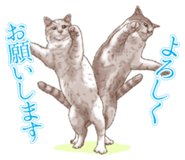Strange pose cat 5 sticker #8460547
