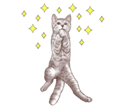 Strange pose cat 5 sticker #8460548