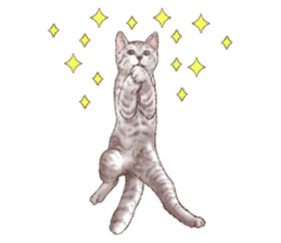 Strange pose cat 5 sticker #8460548