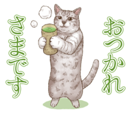 Strange pose cat 5 sticker #8460551