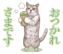 Strange pose cat 5 sticker #8460551