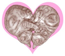 Strange pose cat 5 sticker #8460554