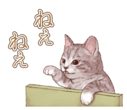 Strange pose cat 5 sticker #8460556