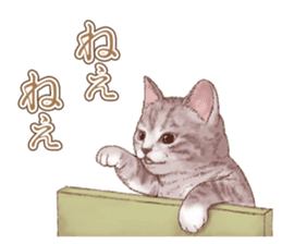 Strange pose cat 5 sticker #8460556