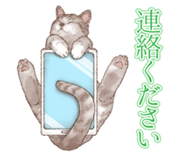 Strange pose cat 5 sticker #8460557