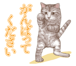 Strange pose cat 5 sticker #8460559