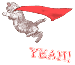 Strange pose cat 5 sticker #8460560