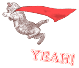 Strange pose cat 5 sticker #8460560