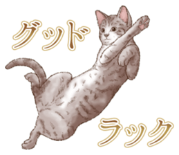 Strange pose cat 5 sticker #8460562