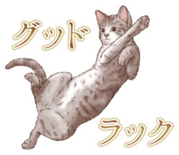 Strange pose cat 5 sticker #8460562