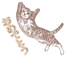 Strange pose cat 5 sticker #8460564