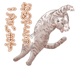 Strange pose cat 5 sticker #8460565