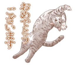 Strange pose cat 5 sticker #8460565