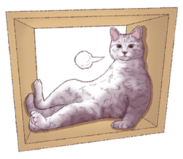 Strange pose cat 5 sticker #8460566