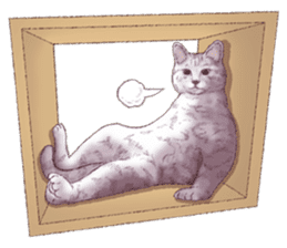 Strange pose cat 5 sticker #8460566