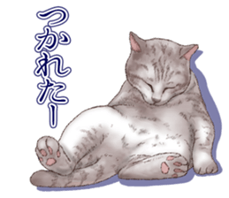 Strange pose cat 5 sticker #8460567