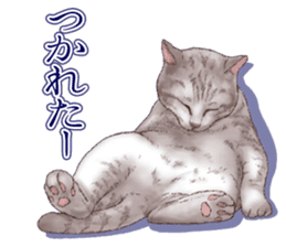 Strange pose cat 5 sticker #8460567