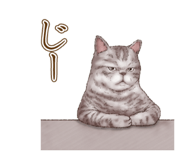 Strange pose cat 5 sticker #8460568