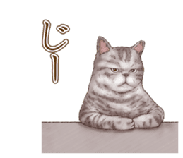 Strange pose cat 5 sticker #8460568