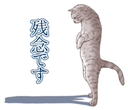 Strange pose cat 5 sticker #8460569