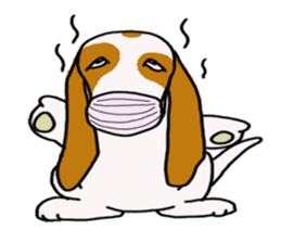 Basset hound sticker #8462051