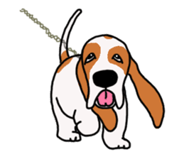 Basset hound sticker #8462059