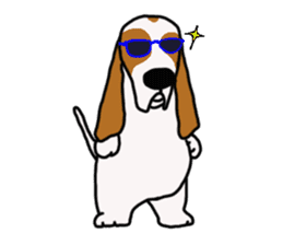 Basset hound sticker #8462061