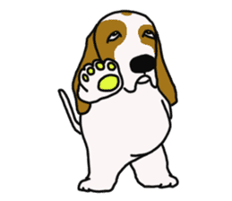 Basset hound sticker #8462062