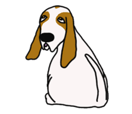 Basset hound sticker #8462063