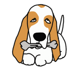 Basset hound sticker #8462083