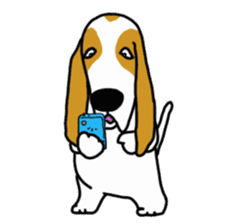 Basset hound sticker #8462088