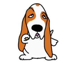 Basset hound sticker #8462089