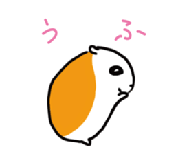 Ham-tan sticker #8462157