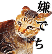 balzo-waruyama sticker #8463546