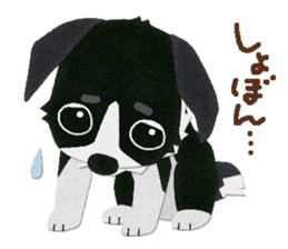 Border collie "Botaro" sticker #8465344