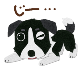 Border collie "Botaro" sticker #8465349