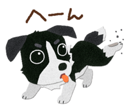 Border collie "Botaro" sticker #8465351