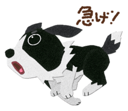 Border collie "Botaro" sticker #8465362