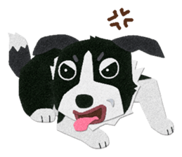 Border collie "Botaro" sticker #8465363