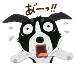 Border collie "Botaro" sticker #8465370