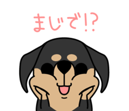 dachshund! sticker #8469049