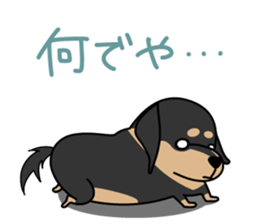 dachshund! sticker #8469061