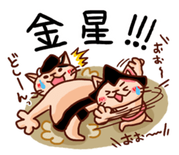 the pad of cat @ Sumo sticker #8469736