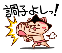 the pad of cat @ Sumo sticker #8469745